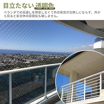 Amazon.co.jp: DANOFY 防鳥ネット 3m×8m ベランダ 鳥よけネット